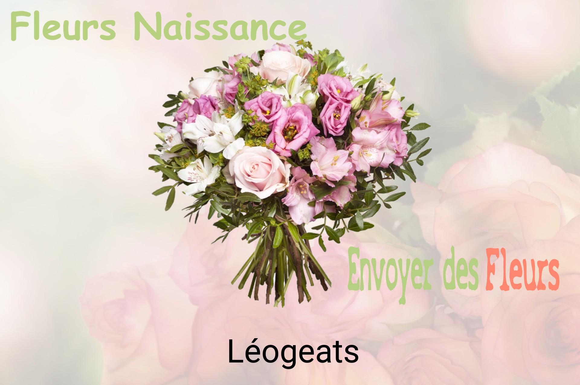 Bouquet de fleurs de naissance livré à Léogeats