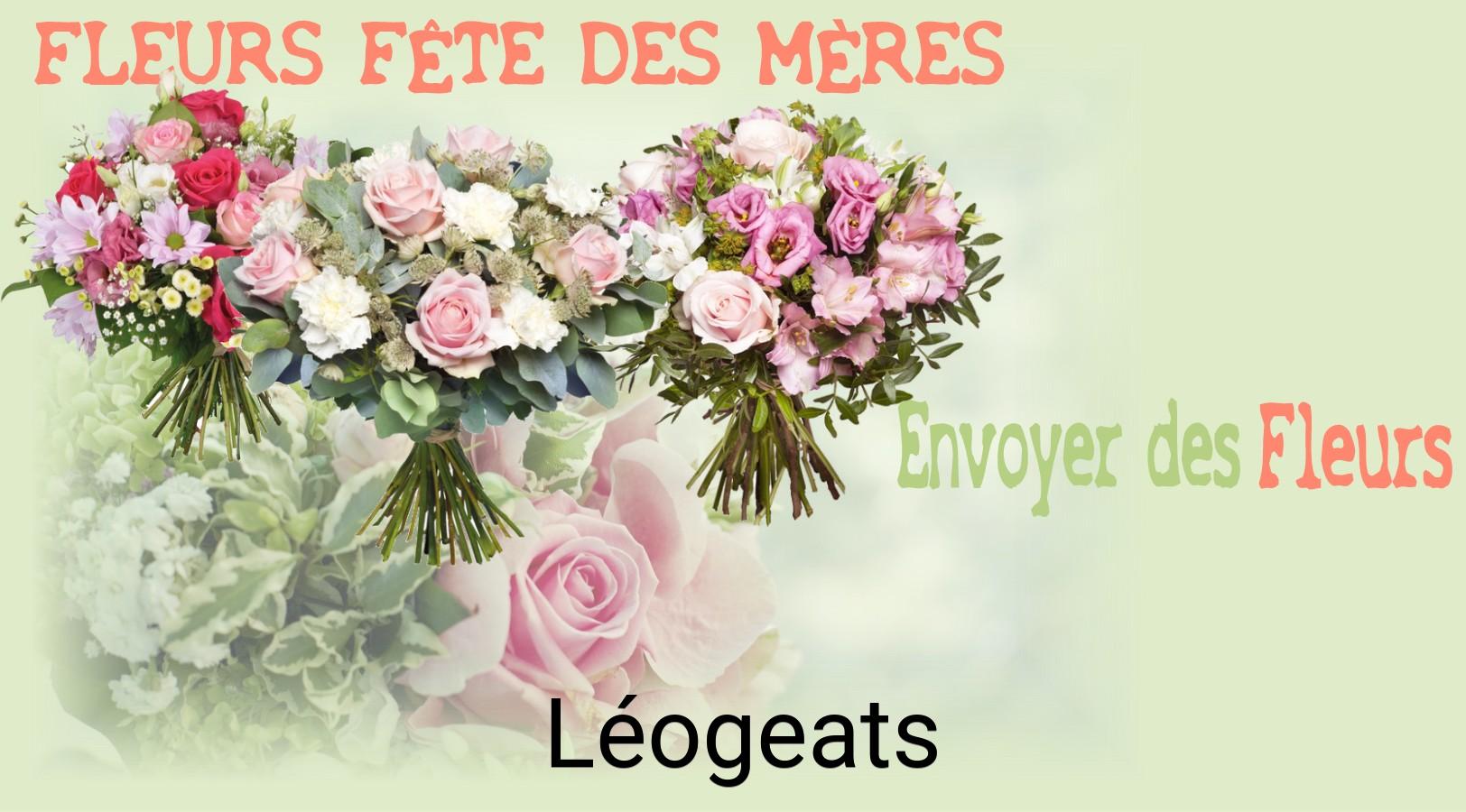 Bouquet de Fête des Mères livré à Léogeats
